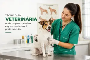Técnico em Veterinária: onde dá para trabalhar e quais tarefas você pode executar